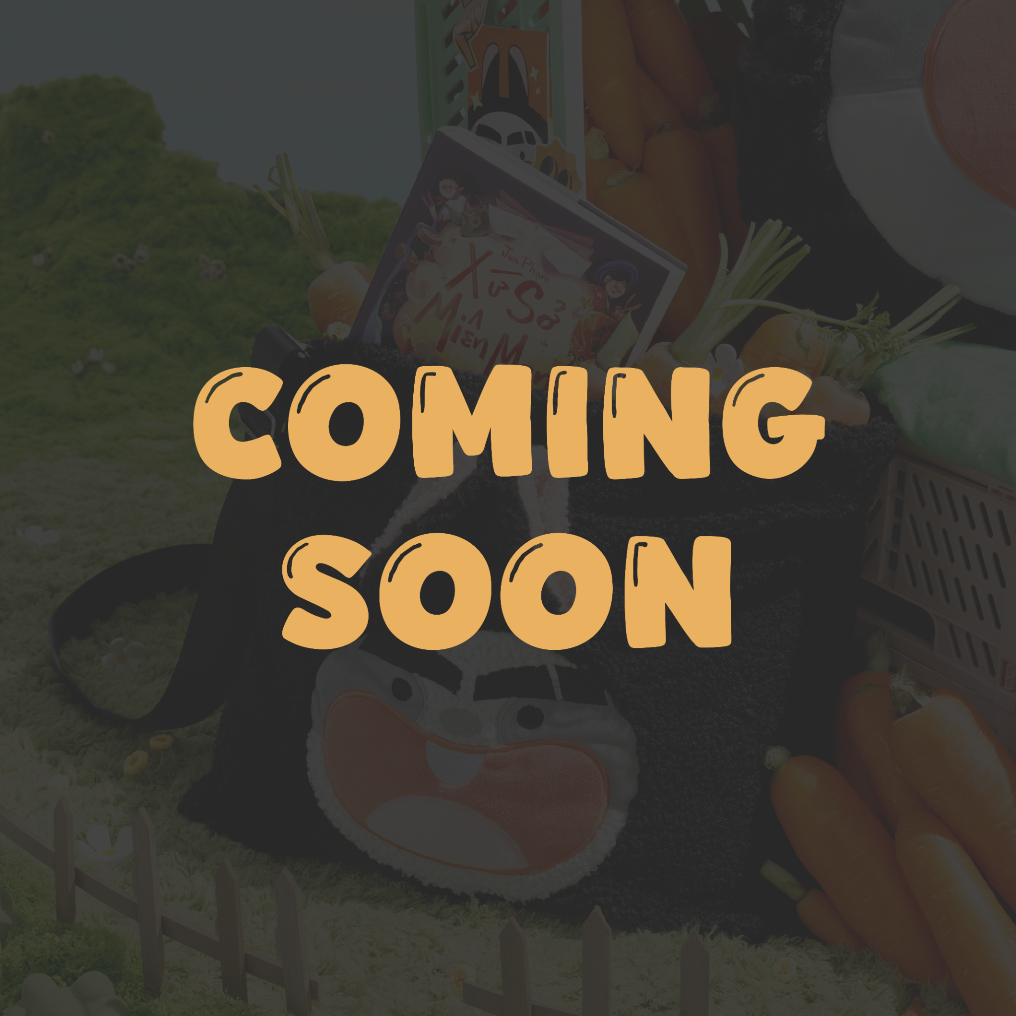  8. CHUN-CHÍP TOTE BAG (TÚI TOTE CHUN-CHÍP) 