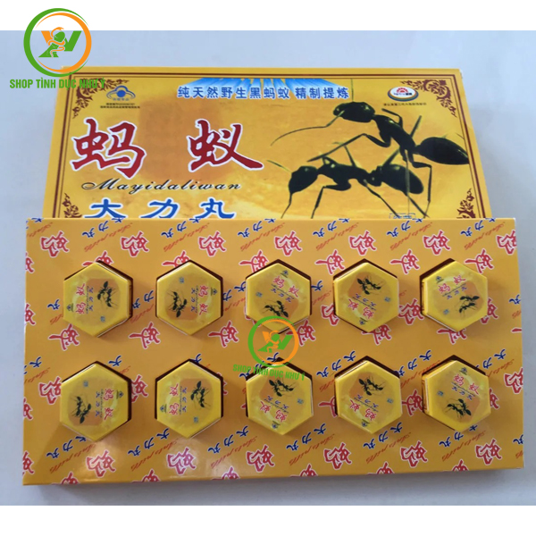 Thuốc tăng cường sinh lý nam Kiến càng đen Tây Tạng