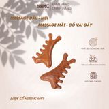  Lược gỗ đàn hương Massage 4in1 Cao Cấp Mnistore Chất Liệu 100% Gỗ Tự Nhiên, kích thước 3,7cm x 7cm x 10cm, Lược Gỗ & Dụng Cụ Massage Đầu, Mặt, Mũi, Cổ Vai Gáy 