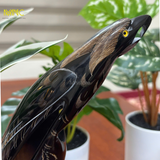  MINISTORE Tượng Sừng Trâu Con Vẹt Nghệ Thuật Decor Phong Thủy Trưng Bày Độc Đáo Chất Liệu 100% Sừng Trâu Tự Nhiên Thủ Công Việt Nam 
