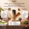  Lược sừng trâu dáng 2 răng đều Mnistore kích thước 12cm màu trắng lược chải chấy, gàu, chăm sóc da đầu, Không bị tích điện khi sử dụng, giúp giảm xơ rối 