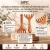 Lược massage gỗ đàn hương hình gạc hươu Mnistore, Thiết kế răng lược thưa tác dụng thúc đẩy tuần hoàn máu, thư giãn tinh thần và giảm căng thẳng, mệt mỏi. 
