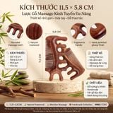  Lược Gỗ Đàn Hương Tự Nhiên mix lược Mnistore Kích Thước 11.5cm x 5.8cm - Giúp thư giãn, giảm căng thẳng, mệt mỏi và cải thiện lưu thông máu 