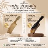  Lược sừng trâu dáng chuôi trúc Mnistore màu sắc trắng kích thước 16-20cm, Lược Chải Tóc Chế Tác Thủ Công Từ Sừng Trâu Tự Nhiên 