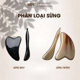  Bộ Massage Mặt Gồm Guasha Nâng Cơ & Cày Bi Mnistore Chế Tác Từ Sừng Trâu, Kích Thước 9-11cm, Độ Dày 4mm-1cm, Dụng Cụ Massage Vừa An Toàn Và Vừa Mang Lại Cảm Giác Thư Giãn 
