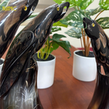  MINISTORE Tượng Sừng Trâu Con Vẹt Nghệ Thuật Decor Phong Thủy Trưng Bày Độc Đáo Chất Liệu 100% Sừng Trâu Tự Nhiên Thủ Công Việt Nam 