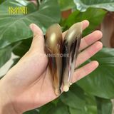  Dụng cụ massage sừng ngọn bi, kích thước 8-14cm, giảm đau mỏi, lưu thông máu, thư giãn hiệu quả 