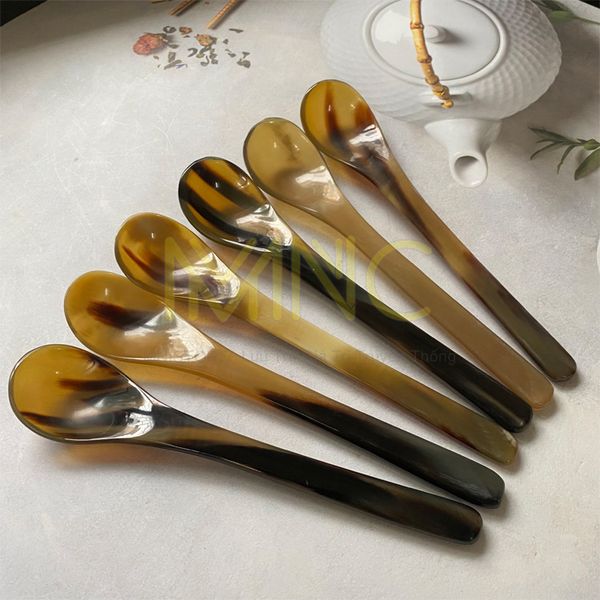 Muỗng, Thìa Sừng Trâu