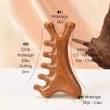  Lược gỗ đàn hương Massage 4in1 Cao Cấp Mnistore, Chất Liệu 100% Gỗ Tự Nhiên, kích thước 3,7cm x 7cm x 10cm, massage mũi - tay chân - cổ vai gáy - da đầu, nhỏ gọn hiệu quả 
