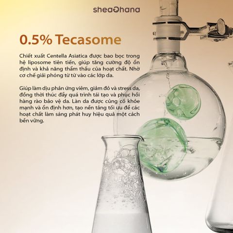 32 PIGM AMPOULE – Tinh chất chuyên sâu làm mờ thâm nám đốm nâu