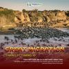 Cuộc Đại Di Cư Châu Phi Great Migration tại Serengeti và Maasai Mara