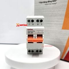 Cầu Dao Gạt Tay 2 Ngã 2P CS2P63A SOPOKA