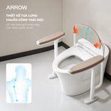 Bộ tay vịn hỗ trợ người cao tuổi Arrow AFZFSYT01NO-LD