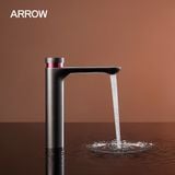 Vòi lavabo nóng lạnh Arrow AMP11872GG