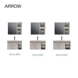 Tủ gương lavabo AUDD10G31009H-YG/AP31009H