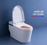 Bồn cầu thông minh Arrow AB1030-AM
