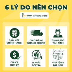 ASIA GREEN - Chuyển Hướng Gió Dàn Nóng Cánh Nhựa Bầu Dục, Khung Sắt Chắc Chắn, Tặng Kèm Vít (Giá bao gồm VAT)