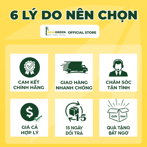 ASIA GREEN - Đầu Bịt Tròn, Nắp Chụp Bịt Ống Gió Tôn Mạ Kẽm (Giá Bao Gồm VAT)