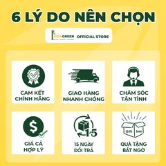 ASIA GREEN - Đầu Bịt Tròn, Nắp Chụp Bịt Ống Gió Tôn Mạ Kẽm (Giá Bao Gồm VAT)