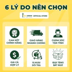 ASIA GREEN - Gioăng Cao Su Lưu Hoá Chống Cháy Lan, Cuộn 10m (Giá bao gồm VAT)