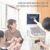 Núm Bình Sữa Pigeon Plus Thế Hệ III Phiên Bản Nhật Size LL