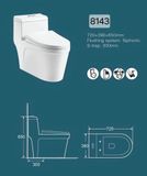  Bồn Cầu Liền Khối Cerano Mã 8143 