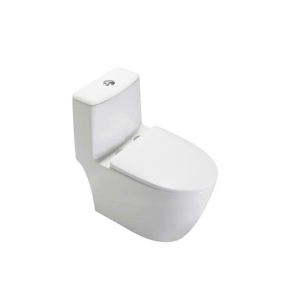  Bồn Cầu Liền Khối Cerano Mã 6566 