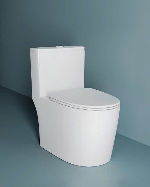  Bồn Cầu Liền Khối Cerano Mã 6565 