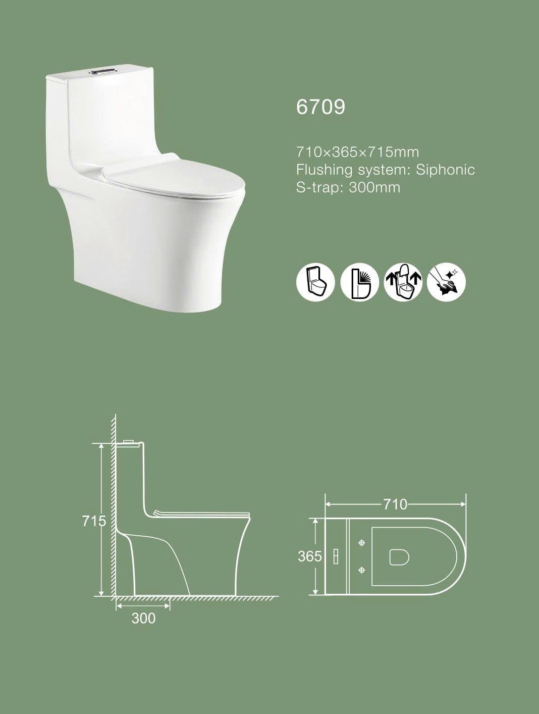  Bồn Cầu Liền Khối Cerano Mã 6709 