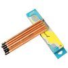 Bút chì mỹ thuật Thiên Long 6B GP-025 nét đậm