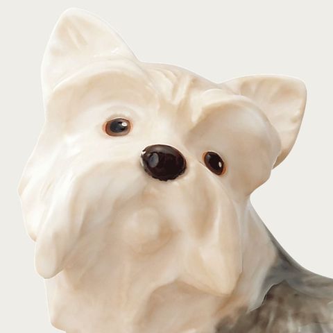  Tượng sứ cún cưng (Yorkshire Terrier) cao 9,5cm sứ xương cao cấp Nhật Bản | Noritake Figurine Dog AC243 - K223 