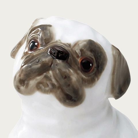  Tượng sứ cún cưng (Pug) cao 8,5cm sứ xương cao cấp Nhật Bản | Noritake Figurine Dog AC239 - K219 