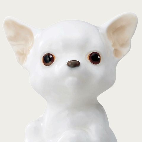  Tượng sứ cún cưng (Chihuahua) cao 9cm sứ xương cao cấp Nhật Bản | Noritake Figurine Dog AC241 - K221 