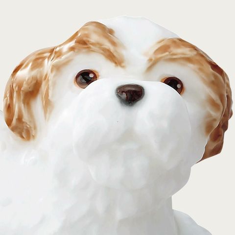  Tượng sứ cún cưng (Shih Tzu) cao 7cm sứ xương cao cấp Nhật Bản | Noritake Figurine Dog AC240 - K220 