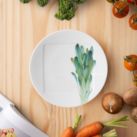  Đĩa tròn cỡ nhỏ 15,5cm (họa tiết cải Mibuna) lót bát (chén) cơm 11,1cm sứ trắng | Noritake Kyoka Shunsai 1620-2L - 94531 