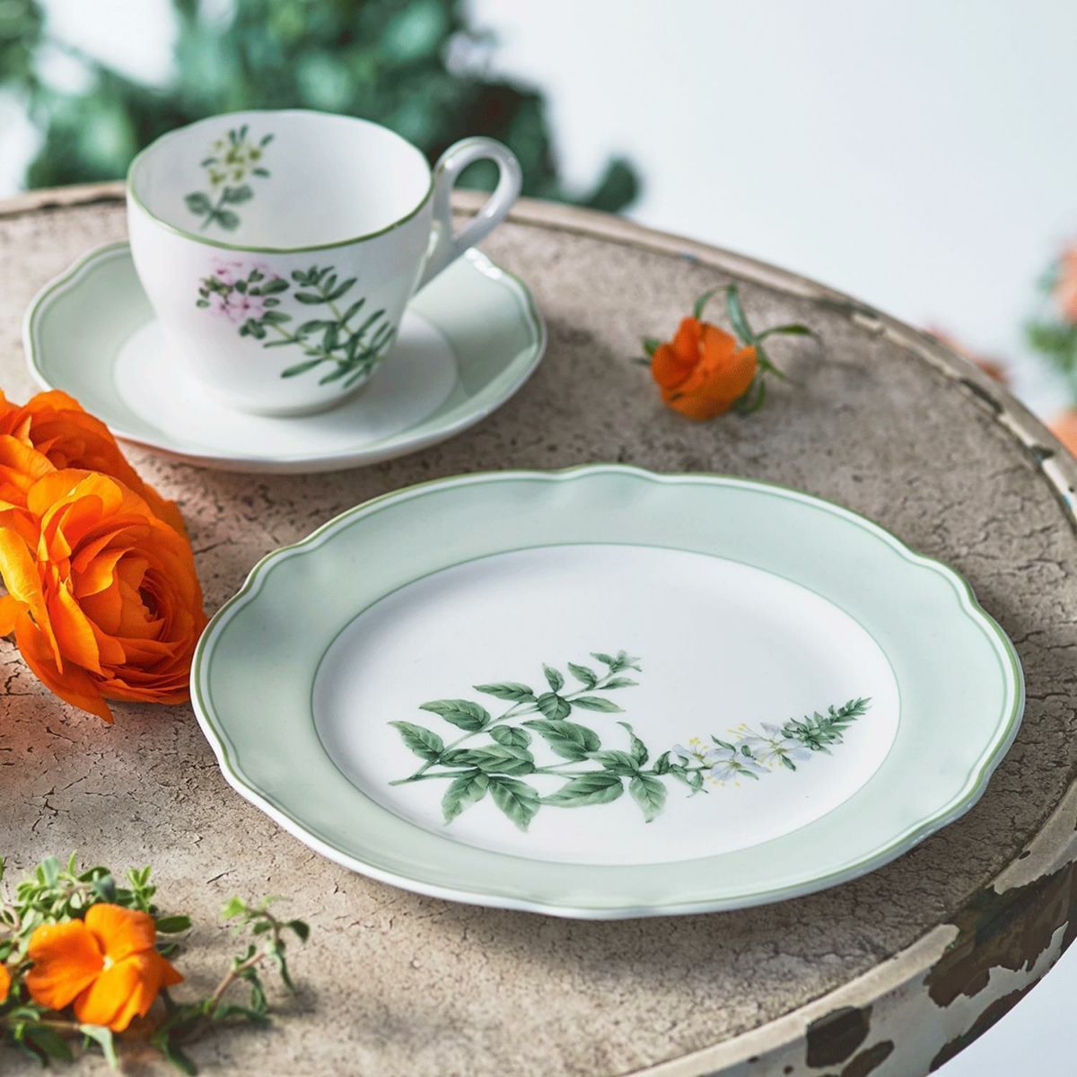 Đĩa tròn cỡ vừa đường kính 22cm sứ xương | Noritake English Herbs 4942L - 97811
