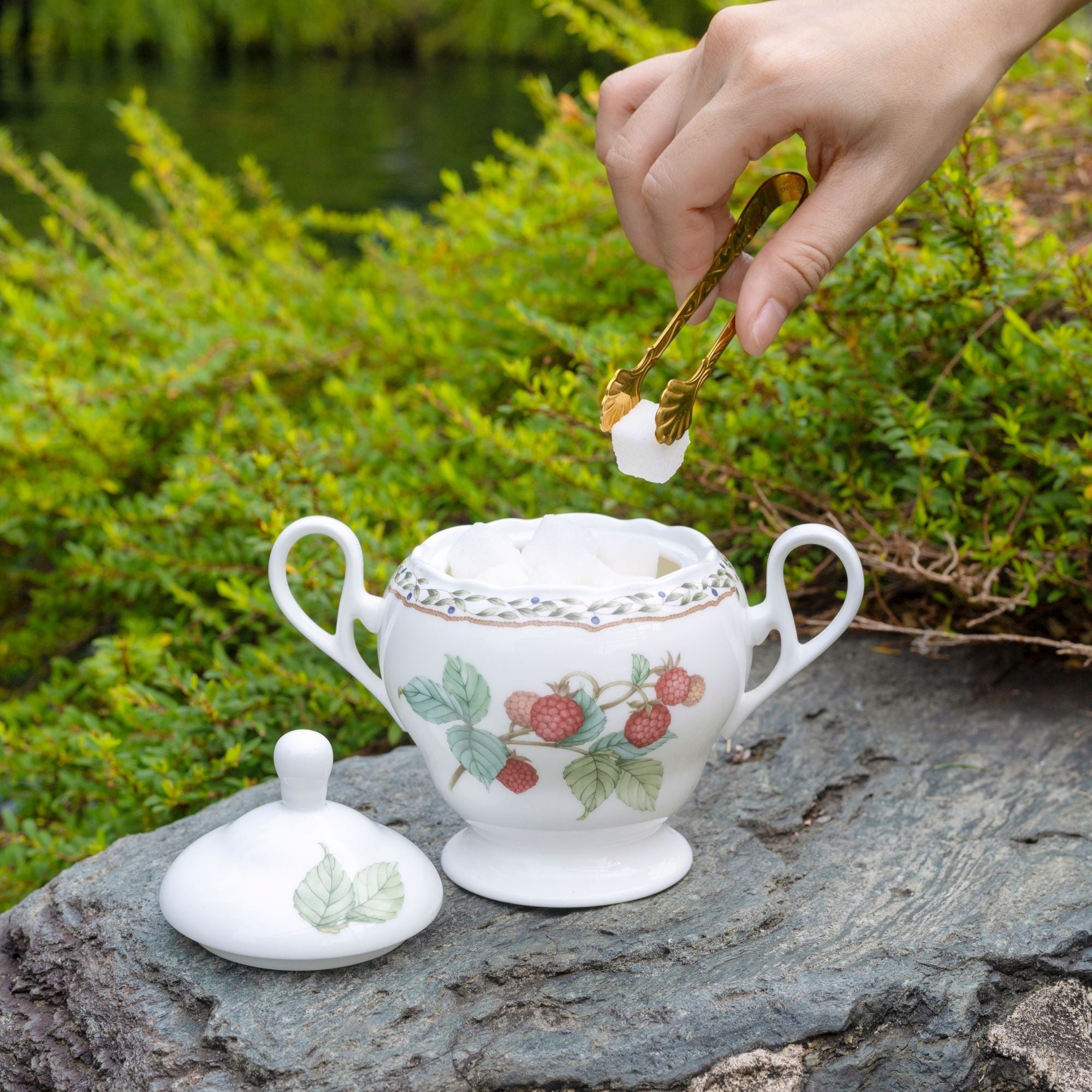 Bộ ấm chén uống trà (ấm 1.030ml, chén 250ml) 18 món sứ xương | Noritake Orchard Garden 4911L - T020A
