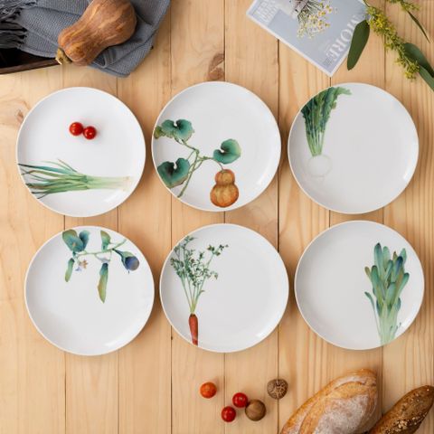  Bộ 06 đĩa tròn coupe đường kính 24,1cm sứ trắng | Noritake Kyoka Shunsai 1620-17L - Q006WB 