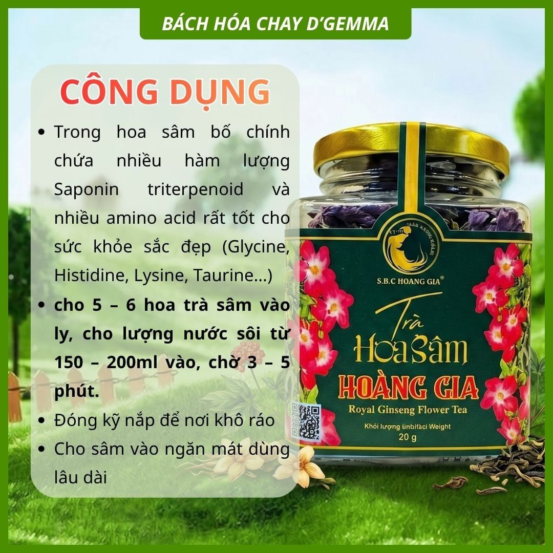  TRÀ HOA SÂM BỐ CHÍNH 20G - HOÀNG GIA 