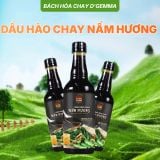 COMBO GIA VỊ CHAY TRÒN VỊ 