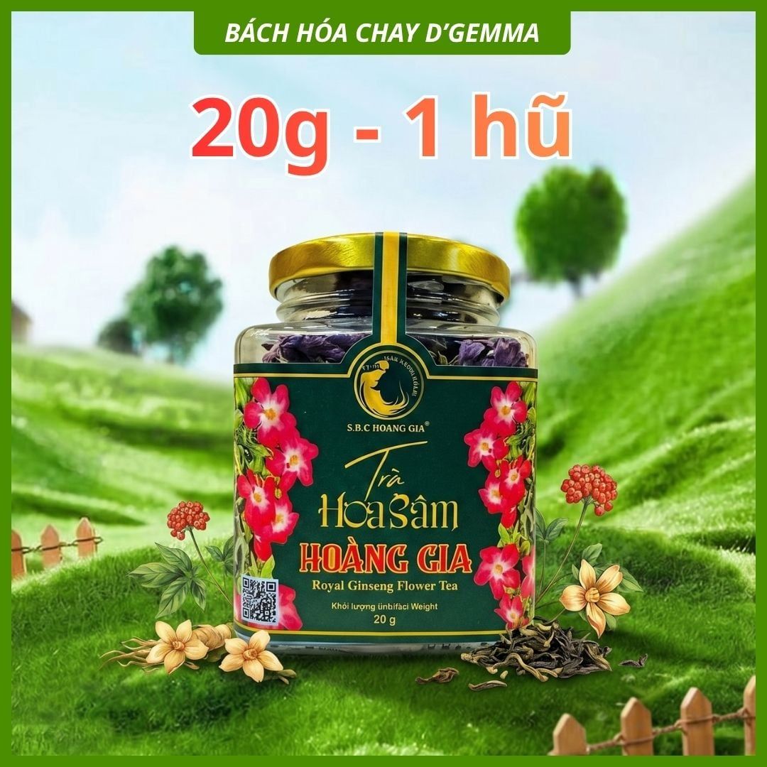  TRÀ HOA SÂM BỐ CHÍNH 20G - HOÀNG GIA 