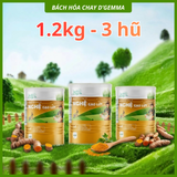  BỘT NGHỆ GẠO LỨT & ĐẬU HẠT RAU CỦ 420G - BỘT DINH DƯỠNG THUẦN CHAY, TỐT CHO BAO TỬ, ĐẸP DÁNG ĐẸP DA 