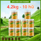  BỘT NGHỆ GẠO LỨT & ĐẬU HẠT RAU CỦ 420G - BỘT DINH DƯỠNG THUẦN CHAY, TỐT CHO BAO TỬ, ĐẸP DÁNG ĐẸP DA 