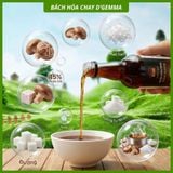  NƯỚC MẮM CHAY NẤM HƯƠNG ĐẶC BIỆT 500ML - HÙNG PHÁT - ĐẬM ĐÀ VỊ NẤM, THƠM NGON CHUẨN VỊ 