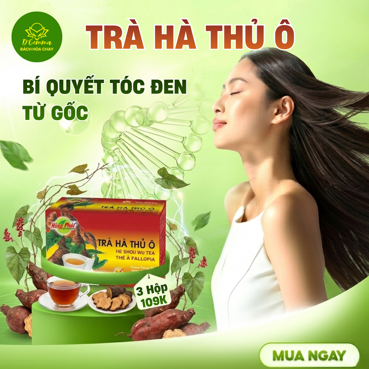  TRÀ HÀ THỦ Ô 50G - BỔ HUYẾT ĐẸP DA, NUÔI DƯỠNG MÁI TÓC 