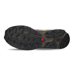 Giày Thể Thao Unisex Salomon XT-6 Walnut/Huckleberry/Urban L49209700