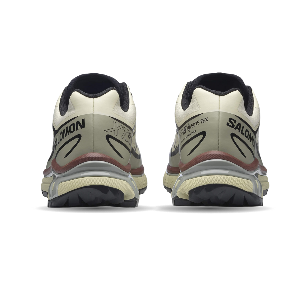 Giày Thể Thao Unisex Salomon XT-6 GTX Aspargus Green/Tea/Bchoco L49202200