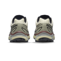 Giày Thể Thao Unisex Salomon XT-6 GTX Aspargus Green/Tea/Bchoco L49202200