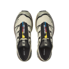 Giày Thể Thao Unisex Salomon XT-6 GTX Aspargus Green/Tea/Bchoco L49202200