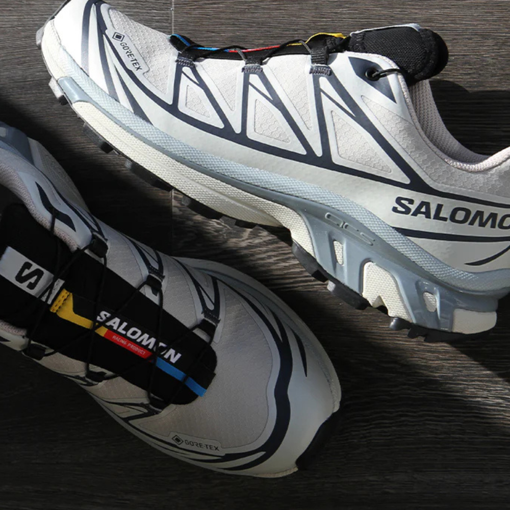 Giày Thể Thao Salomon XT-6 GTX Silver Cloud / Black L49201400